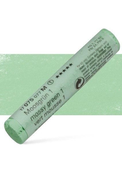 : Artist Soft Pastel Boya : 075 M : Mossy Green 1