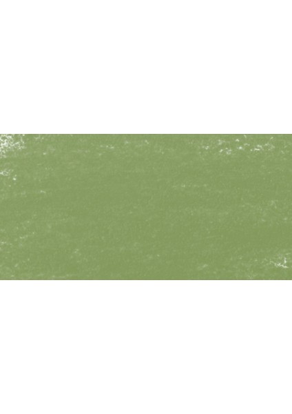 : Artist Soft Pastel Boya : 083 D : Bohemian Green