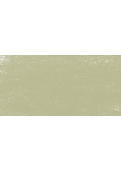 : Artist Soft Pastel Boya : 093 O : Greenish Grey 1 fiyatları