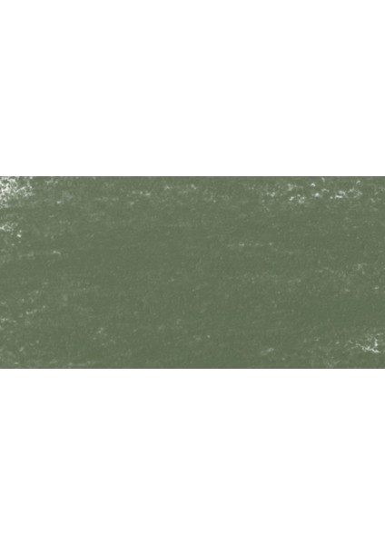 : Artist Soft Pastel Boya : 094 D : Greenish Grey 2