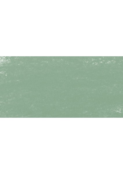: Artist Soft Pastel Boya : 081 M : Cold Green Deep fiyatları