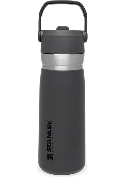 Go Iceflow Pipetli Paslanmaz Çelik Soğuk Su Termosu 0.65 Lt