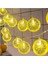 Limon LED Işık 10'lu 3