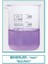 025.01.100 Beher - Cam - Kısa Form - 100 ml (10 Adet) 1