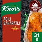 Knorr Çeşni Acılı Baharatlı Çeşnile Fırınla 31 g