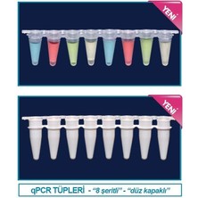 Isolab 123.02.018 Qpcr Şeridi - Şeffaf - Demonte Düz Kapaklı - 0.2 ml (120 Adet)