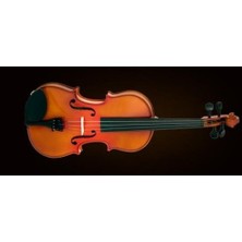 Valencia VA16038 Viola Kutulu 38CM