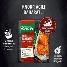 Knorr Çeşni Acılı Baharatlı Çeşnile Fırınla 31 g