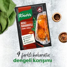 Knorr Çeşni Acılı Baharatlı Çeşnile Fırınla 31 g