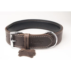 Hakiki Yağlı Deri Köpek Boyun Tasması Xs Koyu Kahverengi 2X29-37 cm