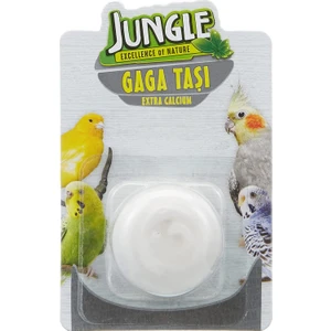 Gaga Taşı