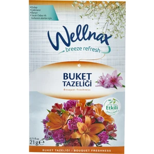 Wellnax Breeze Refresh Dolap ve Çekmece Kokusu Buket Tazeliği Kesesi x 1