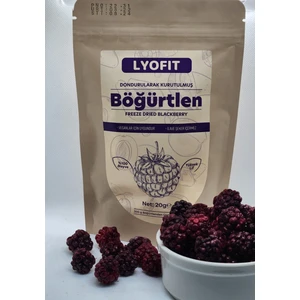 Böğürtlen (Freeze-Dried) 20 gr (2'li paket)