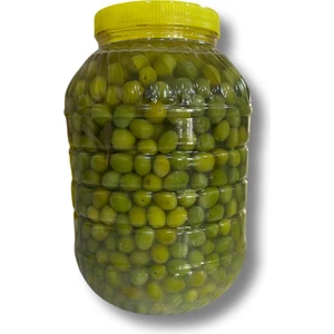 Hatay  Halhal Zeytin