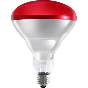 250 W Infrared Isıtıcı Lamba Kırmızı E27 Duy