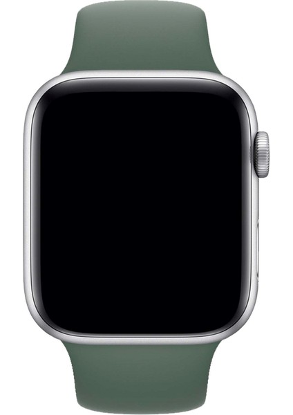 Watch Uyumlu 2 3 4 5 6 7 Se Uyumlu 42 44 45MM Kordon Kayış Bileklik Klasik Silikon modelleri