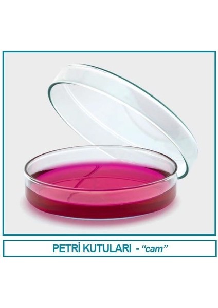 081.01.080 Petri Kutusu - Cam - 80 x 15 mm (18 Adet)