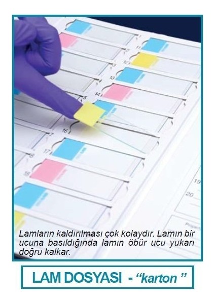 076.01.001W Lam Dosyası - Karton - Beyaz (1 Adet)