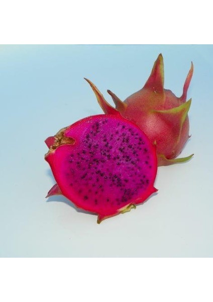 Amerikan Beauty Cinsi Pitaya Ejder Meyvesi Fidanı