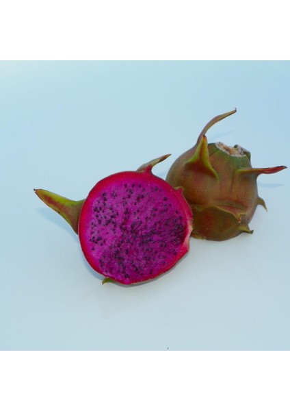 Rixford (Çok Özel Tür) Pitaya Ejder Meyvesi Fidanı
