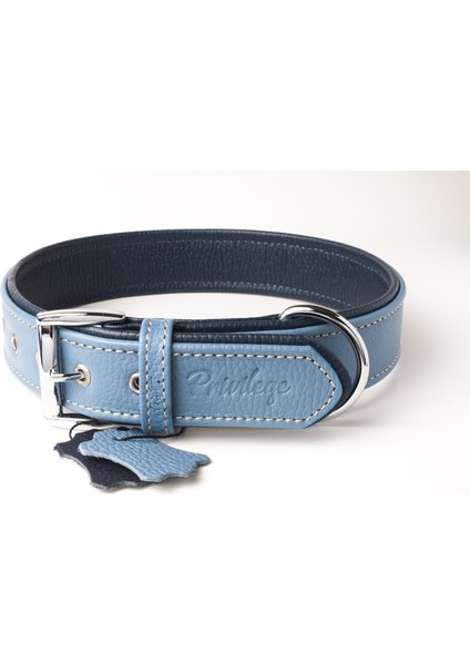 Flotter Hakiki Deri Köpek Boyun Tasması Xxs Mavi Lacivert 2,5X22-30 cm