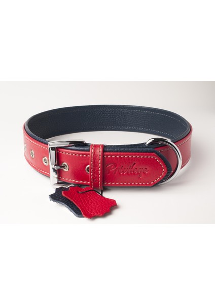 Flotter Hakiki Deri Köpek Boyun Tasması M Kırmızı Lacivert 3X38-47 cm