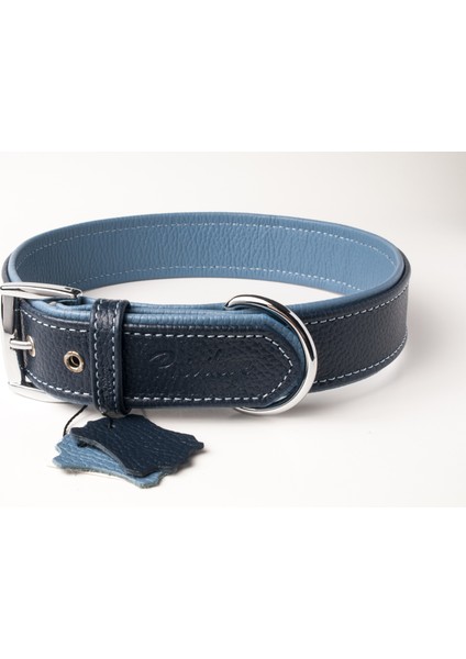 Flotter Hakiki Deri Köpek Boyun Tasması Xl Lacivert Mavi 4X54-64 cm