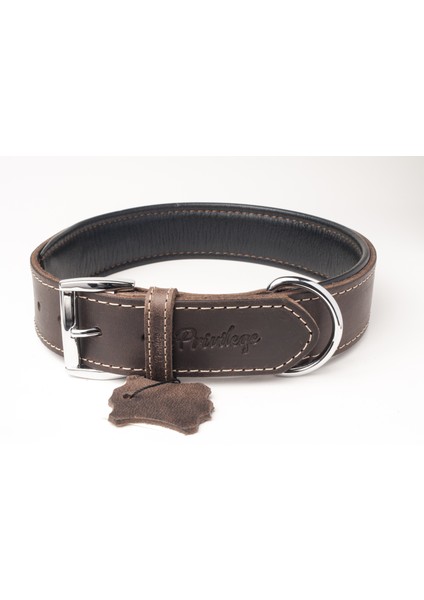 Hakiki Yağlı Deri Köpek Boyun Tasması S Koyu Kahverengi 2,5X32-41 cm