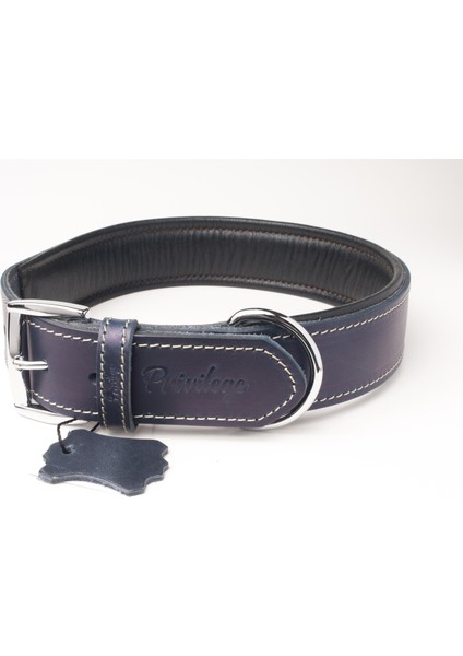 Hakiki Yağlı Deri Köpek Boyun Tasması Xl Lacivert 4X54-64 cm