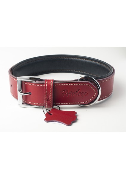 Hakiki Deri Köpek Boyun Tasması Xxs Kırmızı 2X22-30 cm