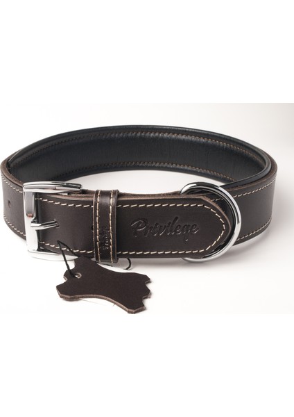 Hakiki Deri Köpek Boyun Tasması Xs Kahverengi 2X29-37 cm