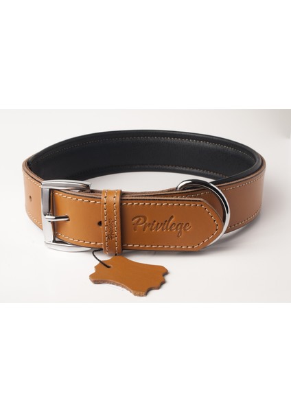 Hakiki Deri Köpek Boyun Tasması M Camel 3X38-47 cm