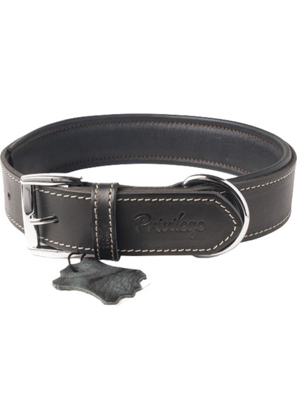 Hakiki Yağlı Deri Köpek Boyun Tasması Xl Siyah 4X54-64 cm