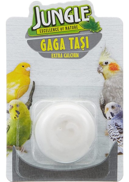 Gaga Taşı