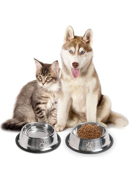 2 Adet Metal Kedi ve Köpek Mama Su Kabı 22 cm