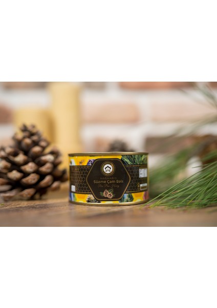 Çam BALI400 gr Bal Teneke Ambalaj fırsatları