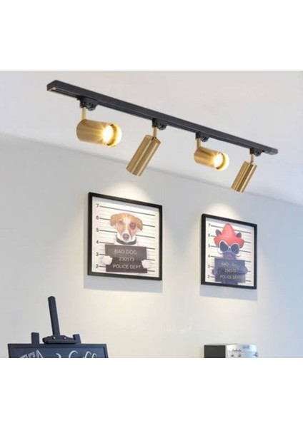 Mylights Modern 1 mt 4'lü Ray Spot Hareketli Aydınlatma Gün Işığı