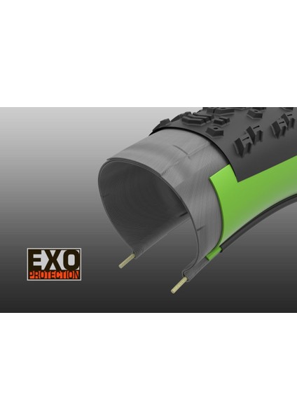 Maxxis Receptor 27.5|650X47B Dualcompound Exo Tlr Katlanır Dış Lastik