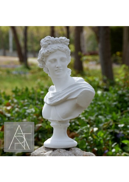 Apollon Büst Heykel