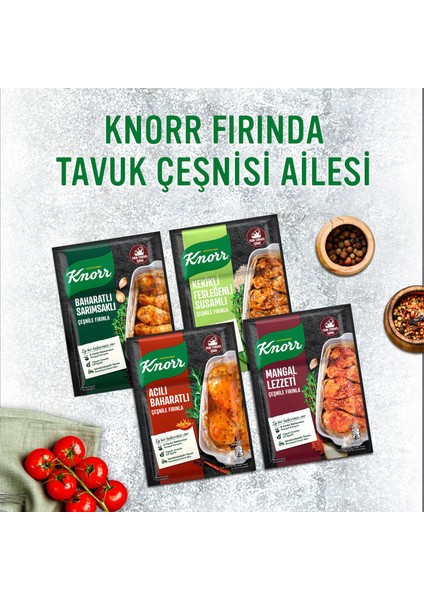 Tavuk Çeşni Ailesi Baharatlı Sarımsaklı 34 g