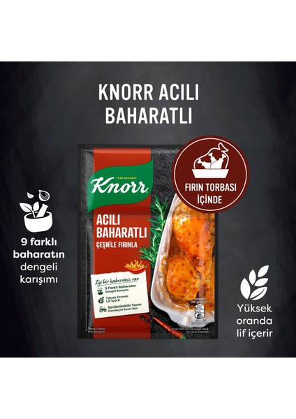 Çeşni Acılı Baharatlı Çeşnile Fırınla 31 g