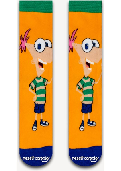 Hey Arnold Renkli Kadın Çorap
