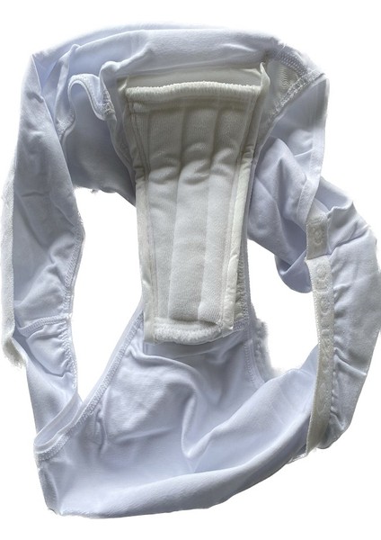 Sıvı Geçirmez Külot,Orta Emici,Antialerjik,Yıkanabilir,Sıvı Geçirmez Kadın Emici Külot (2 Adet) fiyatları