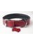 Hakiki Deri Köpek Boyun Tasması Xxs Kırmızı 2X22-30 cm 1