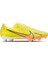 Zoom Vapor 15 Academy Fg/mg Erkek Krampon DJ5631-780 1