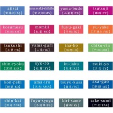 Pilot Iroshizuku Mini Şişe Mürekkep Kon-Peki