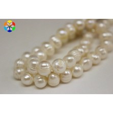 Yaşam Tohumu Inci Yarım Dizi 8-9mm (18CM Uzunluğundadır)