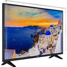 Bestomark Kristalize Panel Philips 55PUS7909 Tv Ekran Koruyucu Düz (Flat) Ekran