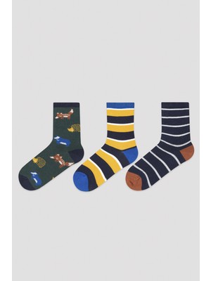 Penti Çok Renkli 3lü Soket Çorap