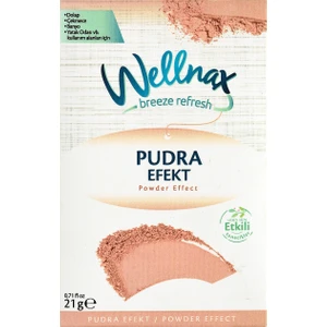 Wellnax Breeze Refresh Dolap ve Çekmece Kokusu Pudra Efekti Kesesi X1